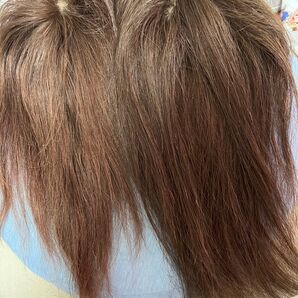 部分ウィッグ2点、ウィッグ用シャンプー付 人毛100%
