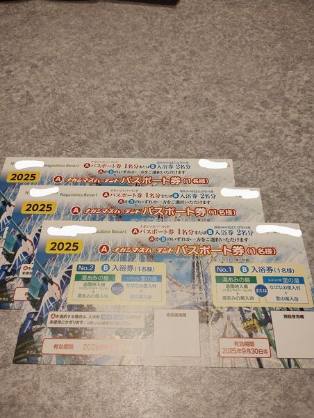 ナガシマスパーランド パスポート券 3枚