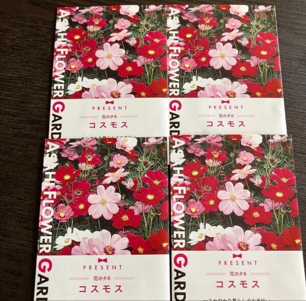 サカタのタネ 花の種 コスモスの種 4袋 コスモス こすもす