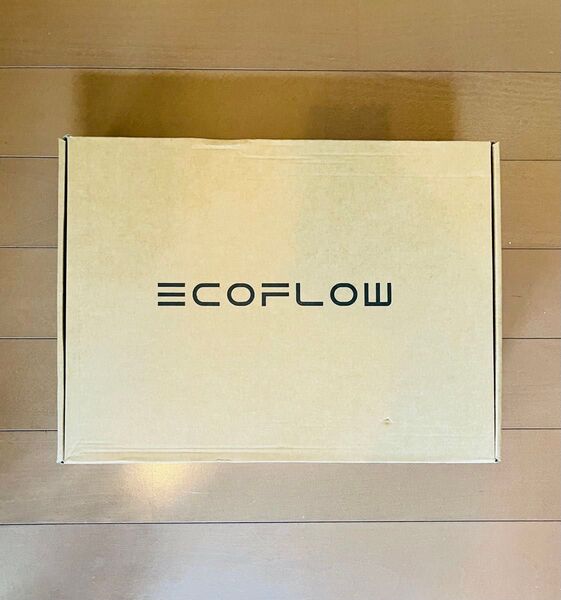 【新品、未開封】EcoFlow DELTA 3シリーズ専用バッグ
