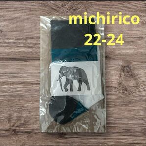 新品 michirico ミチリコ ソックス 22cm 23cm 24cm 靴下 大人 こども シースルー