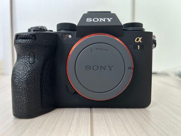【本日限定値下げ】SONY α1ボディおまけあり①