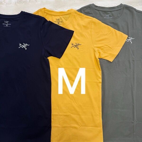アークテリクス 100% バンブーファイバーTシャツ Mサイズ 3枚セット