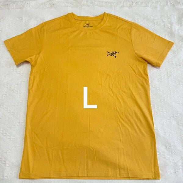 Arc'teryx Tシャツ メンズ Lサイズ イエロー