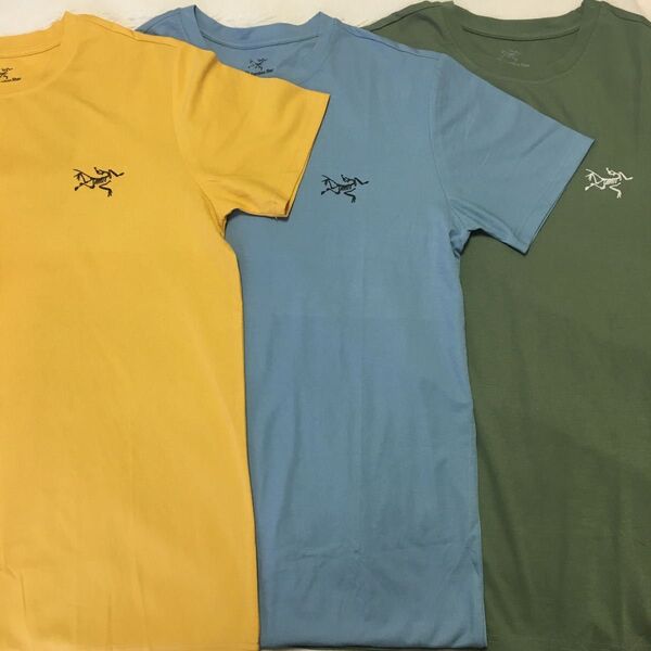本日限りの大セール!!アークテリクス Tシャツ 3点セット サイズS
