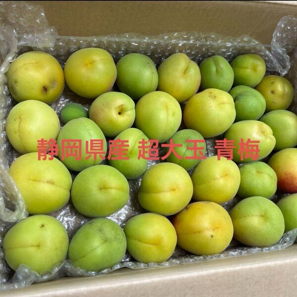 ラスト一箱!静岡県産 無農薬 大玉 不揃い青梅