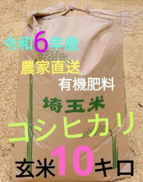 令和6年産! 有機肥料使用 埼玉県産 コシヒカリ 玄米 10kg