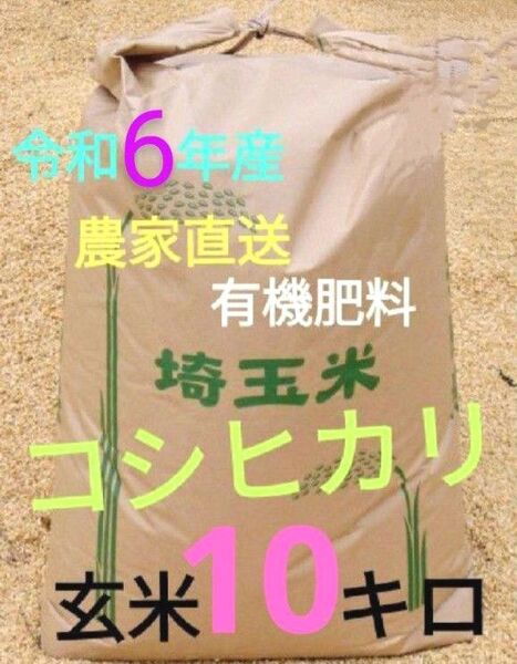 令和6年産! 有機肥料使用 埼玉県産 コシヒカリ 玄米 10kg