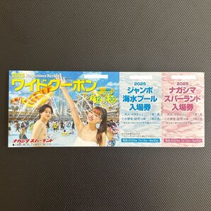 ナガシマスパーランド入場券 ジャンボ海水プール入場券 1枚