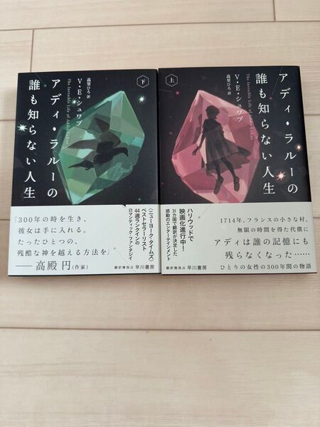 アディ・ラルーの誰も知らない人生
