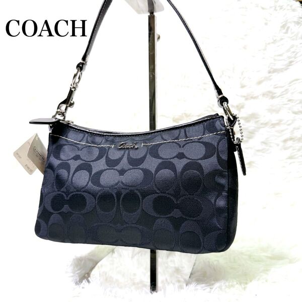 COACH コーチ キャンバス シグネチャー ワンショルダーバッグ 肩掛け ハンドバッグ レザー F44989