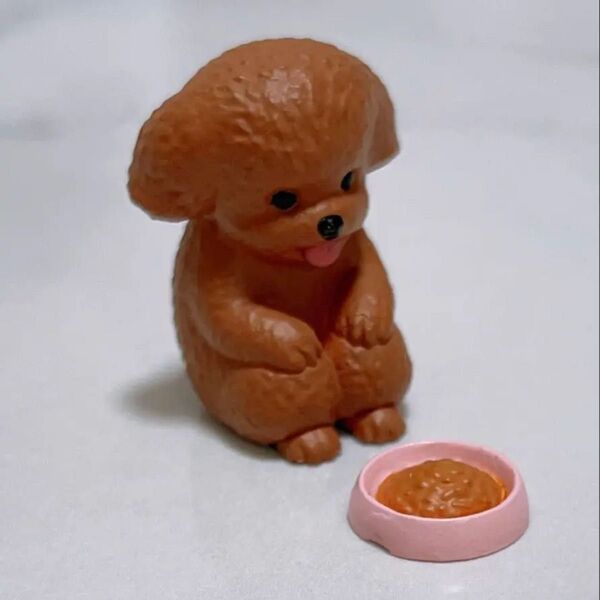 まてぼうけ犬 トイプードル まちぼうけ