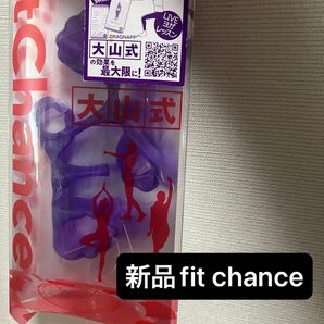 新品 イースマイル 大山式 フィット チャンス ダイエット 健康 体重 浮き指 補正 美脚 骨盤 運動 美姿勢 O脚 筋肉 関節