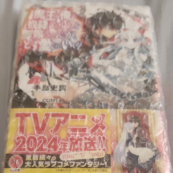 魔王の俺が奴隷エルフを嫁にしたんだが、どう愛でればいい? 1 (HJ文庫 て02-01-01) 手島史詞/著