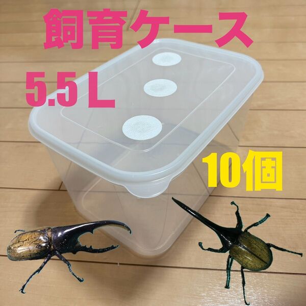 飼育ケース 飼育コンテナ 5.5L 外国産カブトムシ 幼虫飼育 メガフードコンテナ 10個セット ヘラクレス ヘラクレスオオカブト