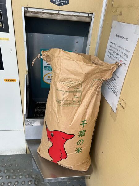 銘柄米 R5年産 安定の美味しさ「千葉のコシヒカリ」5kg 白米(6/9精米済み)