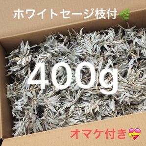 激安お買い得☆400g<浄化☆邪気祓い☆カリフォルニア産ホワイトセージ枝付き>