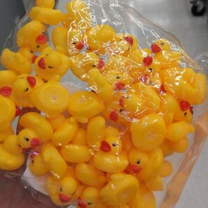 すくい用 水に浮く笛付きミニアヒル(黄) 50個入り