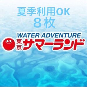 東京サマーランドフリーパス8枚