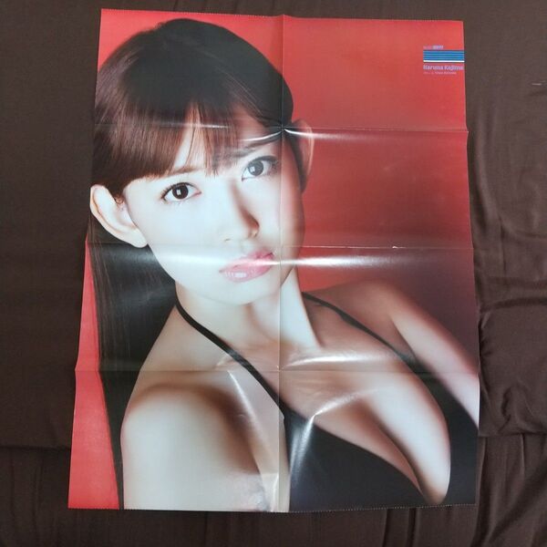 【クーポン期間時ご利用推奨!!】小嶋陽菜リバーシブル ポスター