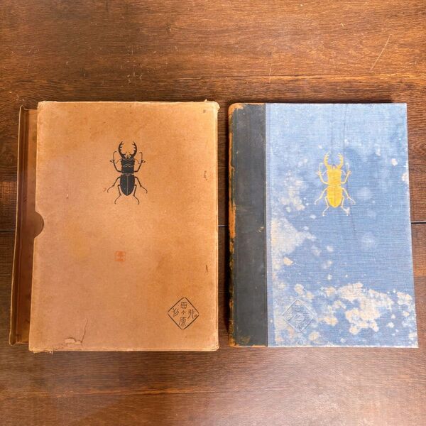 【初版】戦前古書 原色 日本の甲蟲 農学博士 横山桐郎 著 昆虫 昔の図鑑 貴重 レア 戦前