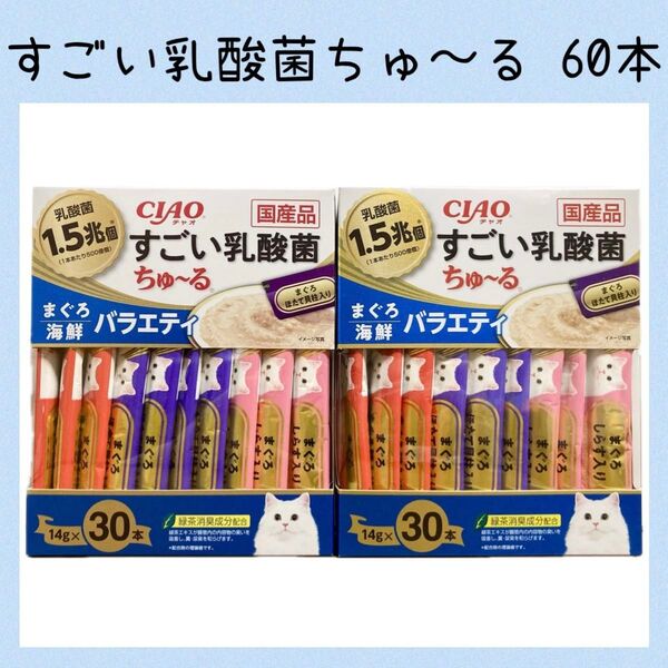 2 いなば チャオ すごい乳酸菌 ちゅーる まぐろ海鮮バラエティ 60本 ciaoちゅ〜る チャオちゅーる キャットフード 猫