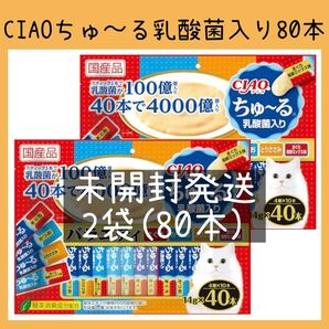 61 猫おやつ イナバ CIAOちゅ〜る乳酸菌入り バラエティ 全80本 いなば ちゅーる チャオちゅーる