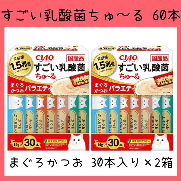 89 いなば チャオ すごい乳酸菌 ちゅーる まぐろかつおバラエティ 60本 ciaoちゅ〜る チャオちゅーる キャットフード 猫