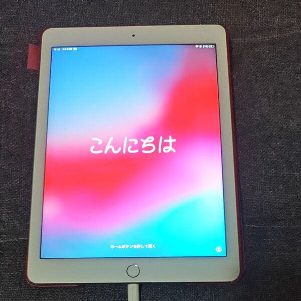 iPad Air2(第2世代)Wi-Fi Cellular A1567 docomo 16GB ケース付き 美品