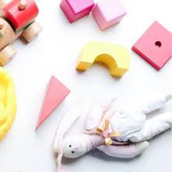 おもちゃ(muniさま)