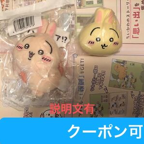ハァ!? うさぎだらけくじ 白目 おかおのスクィーズ 2点セット ちいかわ