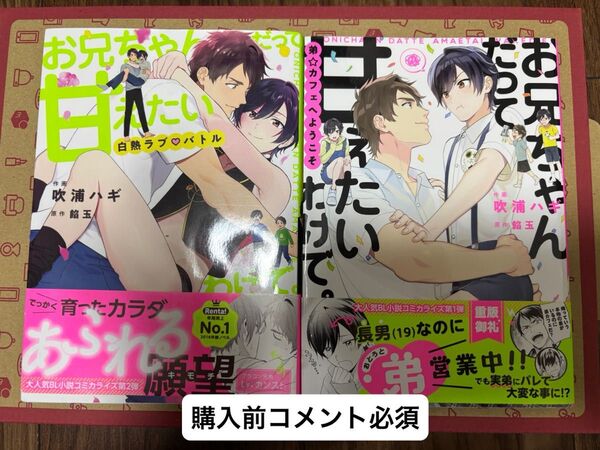 商業BL お兄ちゃんだって甘えたいわけで。 2巻セット