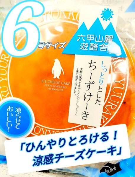 「ひんやりとろける!涼感チーズケーキ」6号サイズ アウトレット 大阪前田製菓