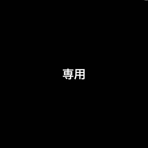 エスコンフィールド 駐車券 観戦チケット 日本ハムファイターズ