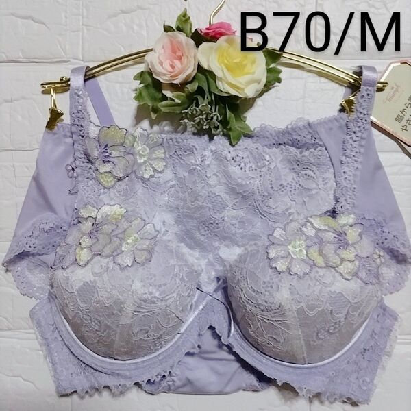 B70・M◆トリンプ◆プレミアム レッドレーベル 0073◆ブラ&ショーツ