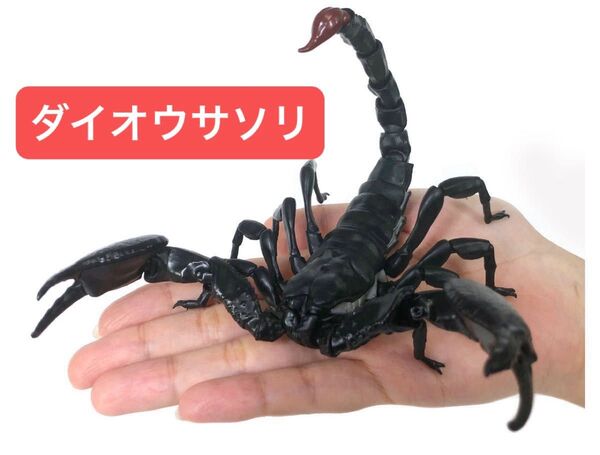いきもの大図鑑 サソリ 【ダイオウサソリ大(大サイズ)】
