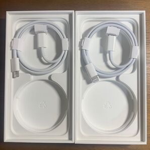 迅速発送! 2本セット アップル iPhone 純正ライトニングケーブル タイプC 1M 【新品未使用】