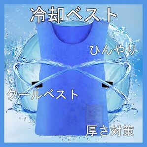 冷却ベスト クールベスト アイスベスト クール 冷感 保冷 ひんやり 熱中症対策