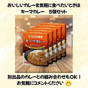 レトルトカレー CoCo壱番屋 キーマカレー 5個