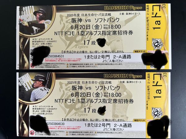 6/20 阪神ソフトバンク戦1塁アルプス指定席2枚 甲子園 阪神タイガース 甲子園球場 金
