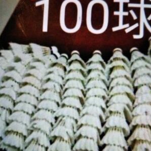 野球 練習 バドミントン シャトル