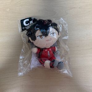 ハイキュー!!ぬいもっちC賞黒尾鉄朗