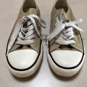 キャンバスシューズ 23cm 365DAYS ベージュ系 コンバース風 靴 スニーカー ローカット