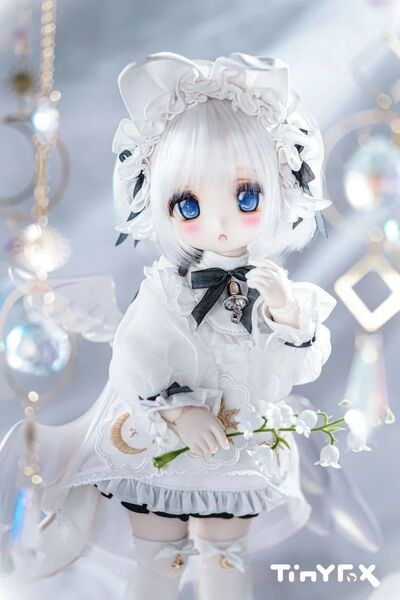 TinyFox 狐狐神-夢神 フィフレ(Huifre) 1/6 フルセット
