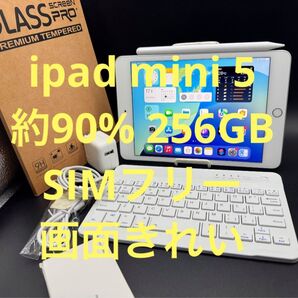 約90%256GBSIMフリーiPad mini 5 画面きれいペンシルキーボードガラス