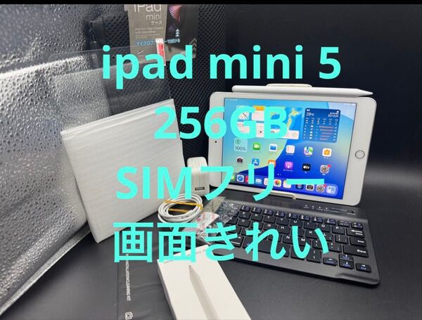 画面きれい256GBSIMフリーiPad mini 5ペンシルキーボードガラス