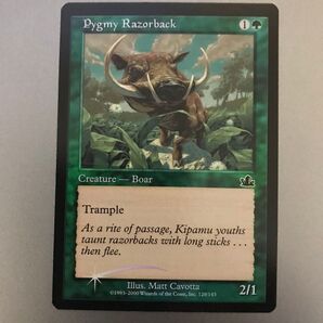 MTG PCY ピグミー・レイザーバック Foil 英語版