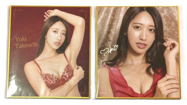 【匿名配送】竹内有希 ミニ色紙 FANZAオンラインくじ 2枚セット 非売品 美品【未開封品】