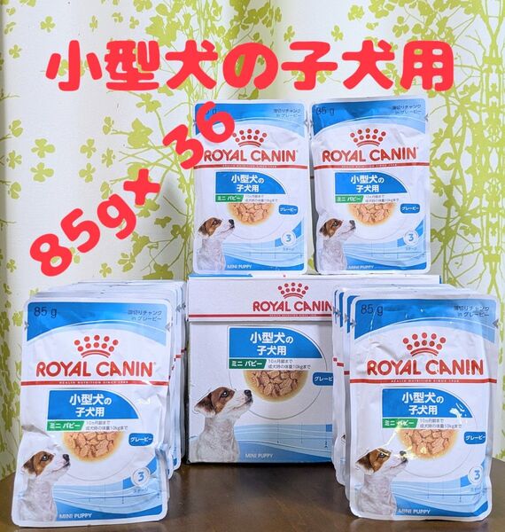 ロイヤルカナン 小型犬の子犬用 ミニ パピー 85g 36袋