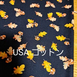 50×100 usaコットン どんぐり 生地はぎれ ハギレ ドングリ